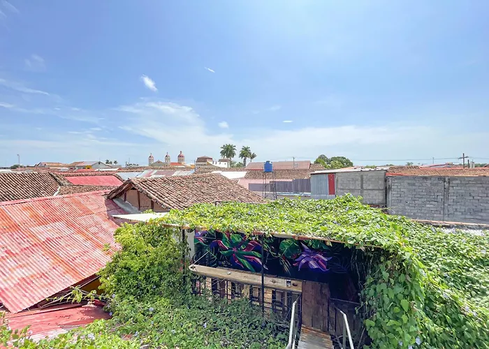 Hostel: Oasis Hostel