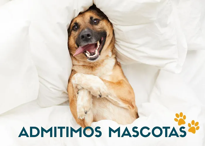 Hotel cerca del colegio: Apartamentos Catedral Plaza 3000