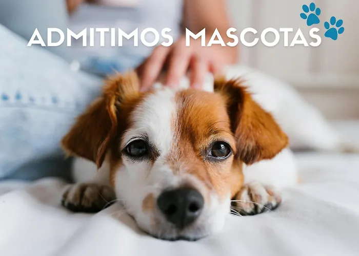 Alquiler de vacaciones: Apartamentos Boutique Granada Albaicín 3000