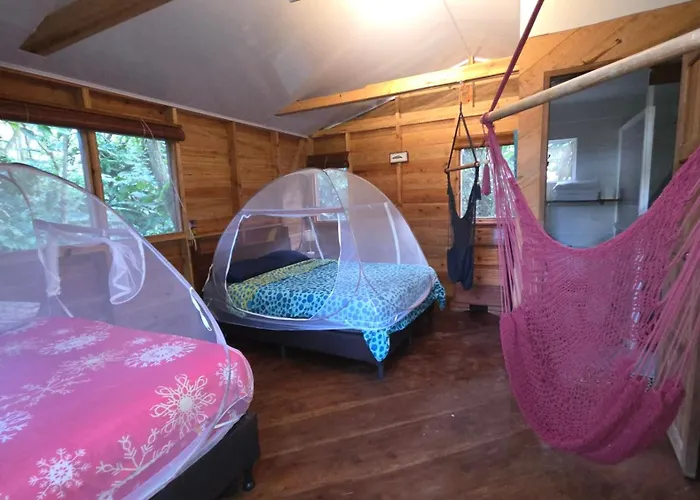 Pet Friendly hotel: Mombacho Lodge